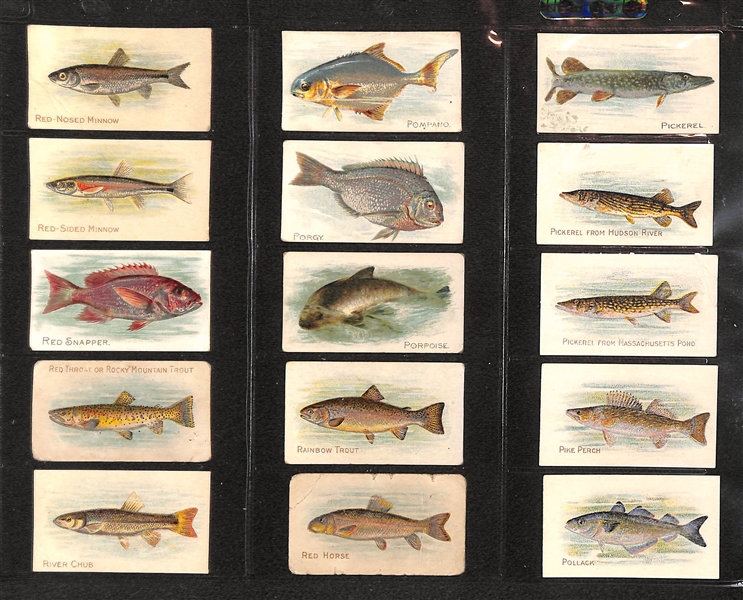 Lot Of 90 1910 T58 Fish Series - Almost Complete Set