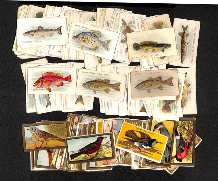 Lot Of 122 1910 Birds & Fish Tobacco Cards