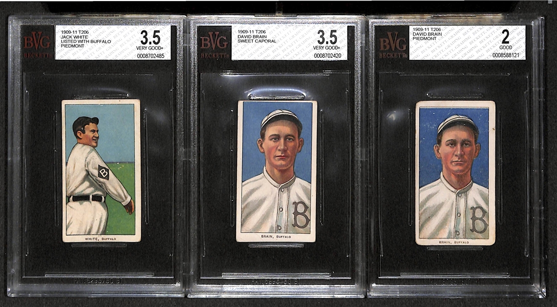 Lot of 3 Buffalo Minor League 1909-11 T206 Cards - Jack White (BVG 3.5), David Brain (BVG 3.5), David Brain (BVG 2.0)