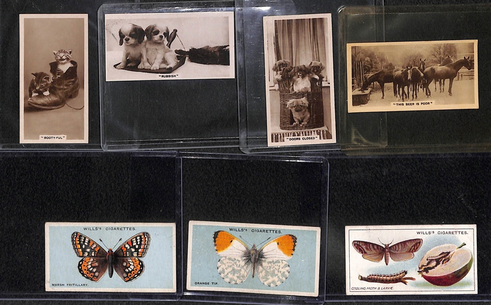 Lot of 40 1920-1930s Animal Cigarette Cards