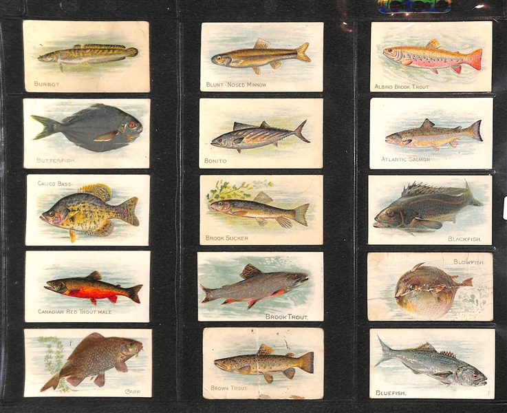Lot Of 90 1910 T58 Fish Series - Almost Complete Set