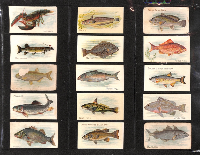 Lot Of 90 1910 T58 Fish Series - Almost Complete Set