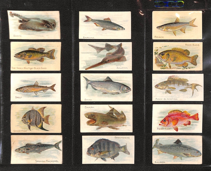 Lot Of 90 1910 T58 Fish Series - Almost Complete Set