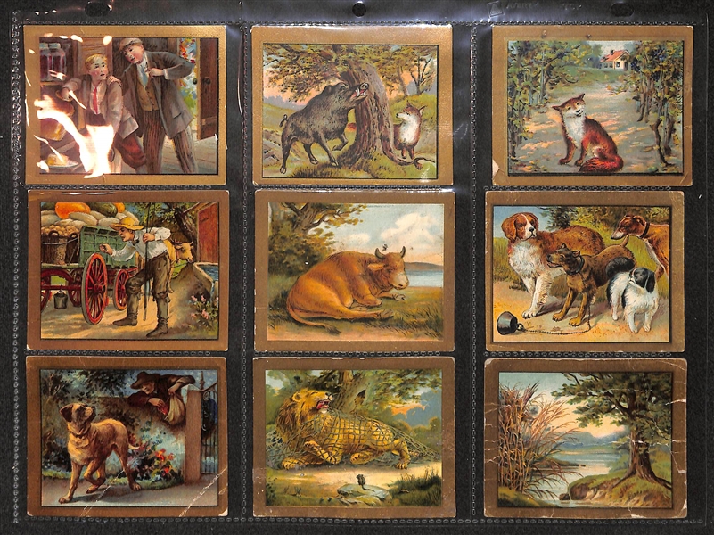 Lot Of 145 1910 Tobacco Cards w. 5 Hassan Cowboys