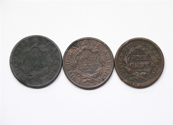 Misc. Grouping of 19th Century Coins
