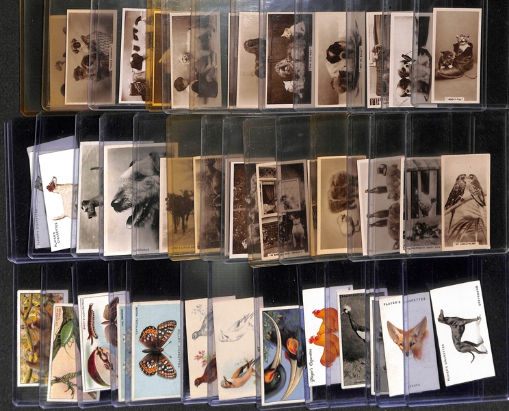 Lot of 40 1920-1930s Animal Cigarette Cards
