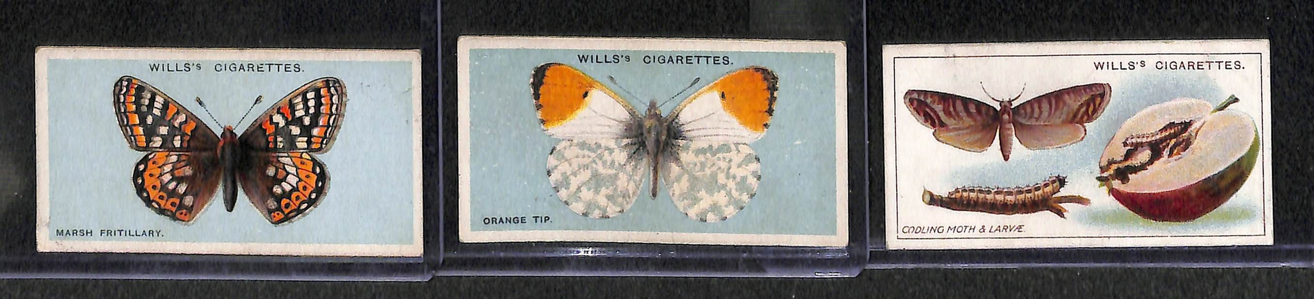 Lot of 40 1920-1930s Animal Cigarette Cards