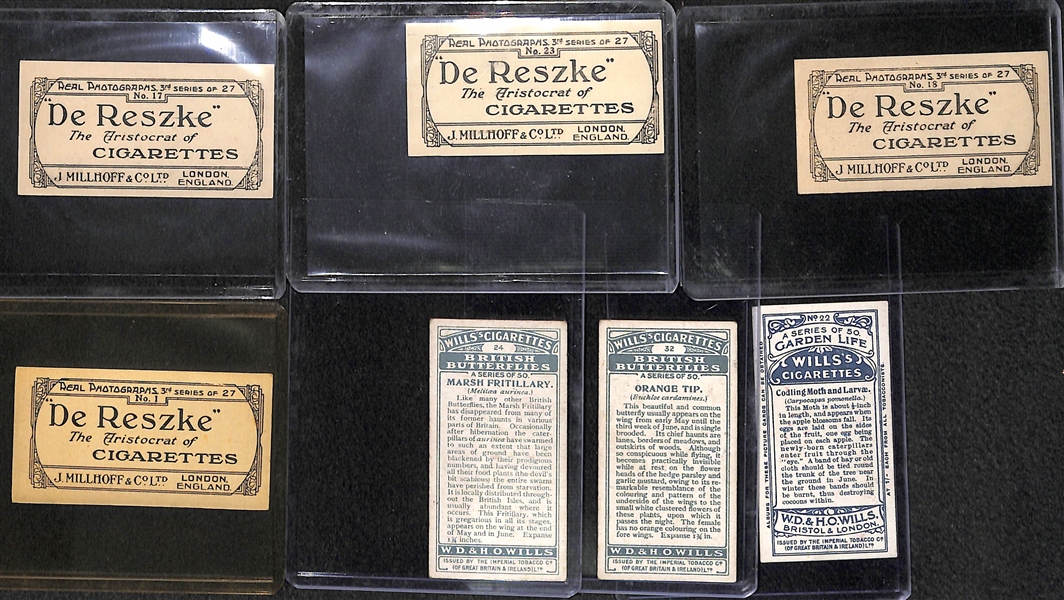 Lot of 40 1920-1930s Animal Cigarette Cards