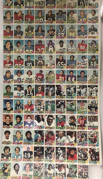 1975 Topps Football Uncut Sheet (w/ Branch, Pearson, and Theismann Rookies)
