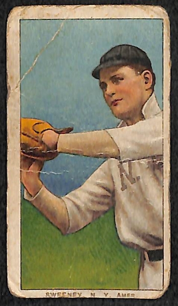 Lot of (3) 1909 T206 Polar Bear Cards - Sweeney, Schlei, Rucker 