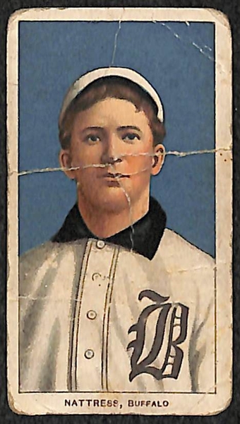 Lot of (3) 1909 T206 Polar Bear Minor Leagues Cards - Schlafly, Nattress, O'Neil