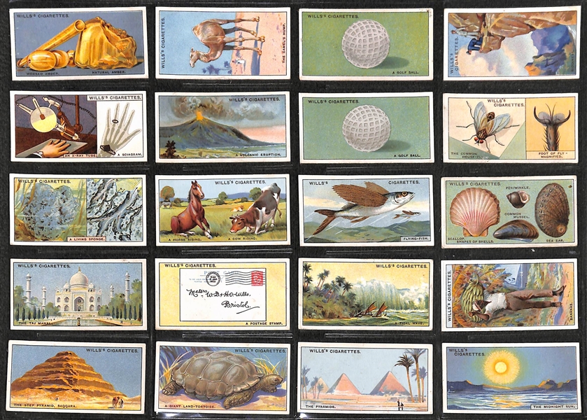 Lot of 236 1910s-1940s Cigarette Cards of Sports, Comical, & Animals w.  Golfer Edward Ray