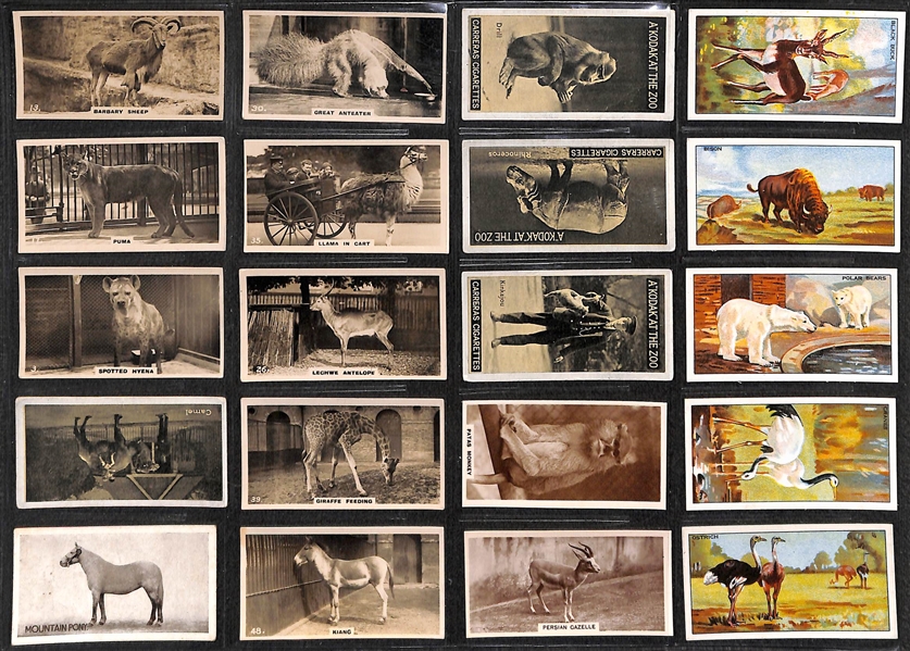 Lot of 236 1910s-1940s Cigarette Cards of Sports, Comical, & Animals w.  Golfer Edward Ray