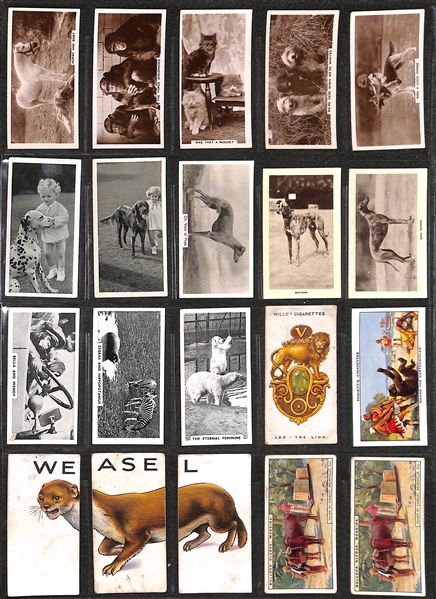 Lot of 236 1910s-1940s Cigarette Cards of Sports, Comical, & Animals w.  Golfer Edward Ray