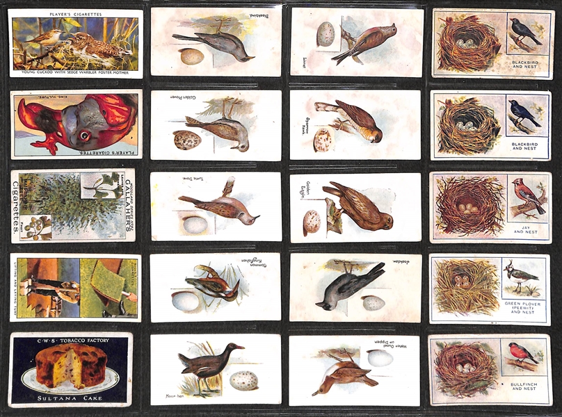 Lot of 236 1910s-1940s Cigarette Cards of Sports, Comical, & Animals w.  Golfer Edward Ray