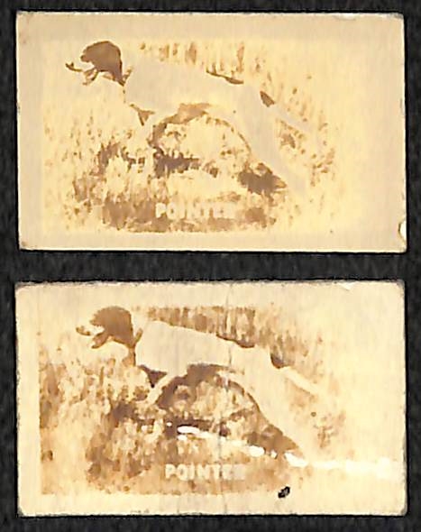 Lot of (13) 1948 Topps Magic Cards - Bendix Babe Ruth Story, (7) Actors/Actresses, (5) Dogs