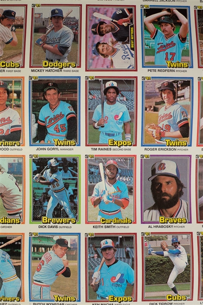 Lot of 5 Uncut 1981 Donruss Baseball Sheets Constituting the Complete Set