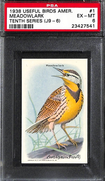 Lot of 9 1938 Useful Birds Of America PSA Graded Cards