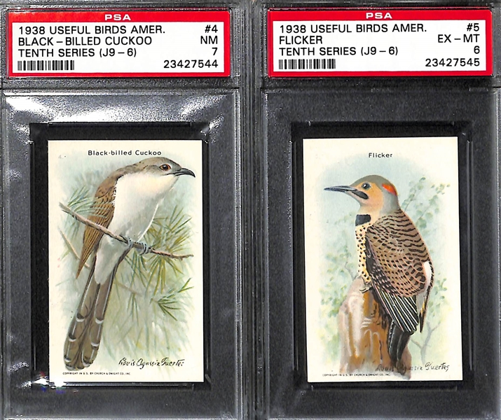 Lot of 9 1938 Useful Birds Of America PSA Graded Cards