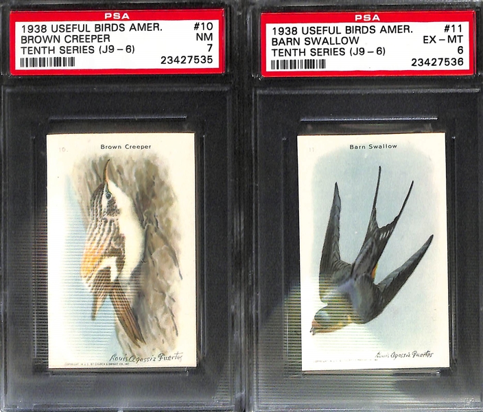 Lot of 9 1938 Useful Birds Of America PSA Graded Cards