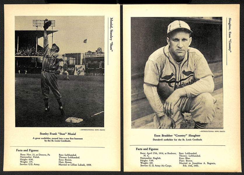 Lot of (32) 1946-49 W603 Sports Exchange 7x10 Cards - Musial, Slaughter, Spahn, Rizzuto, Hubbell, Herman, +