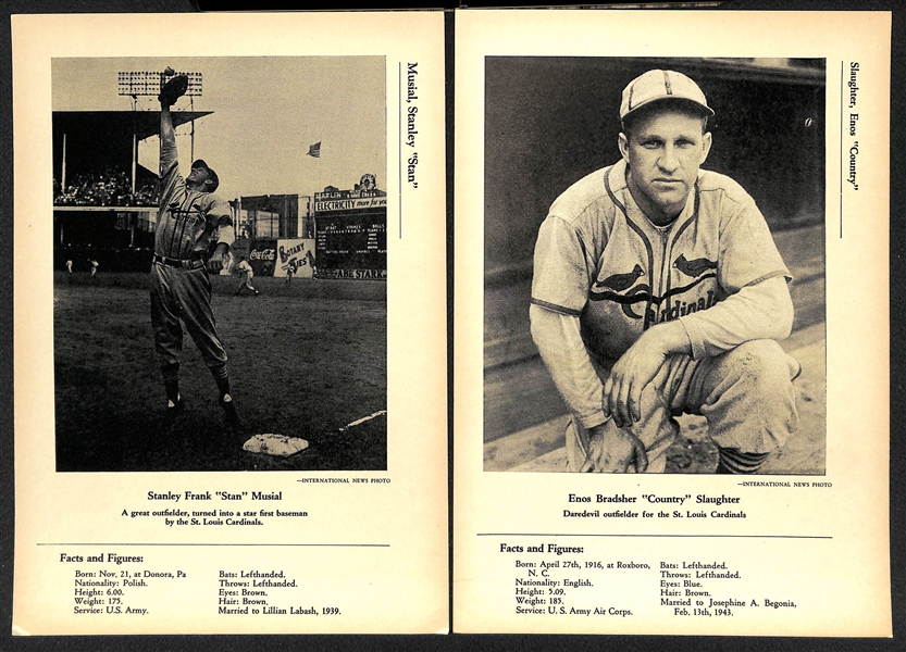 Lot of (35) 1946-49 W603 Sports Exchange 7x10 Cards - Musial, Slaughter, Lefty Grove, Bobby Doerr, Bob Feller, Lou Boudreau, +