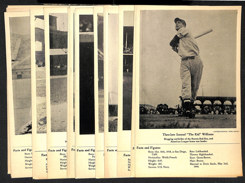 Lot of (22) 1946-49 W603 Sports Exchange Cards - Ted Williams, Greenberg, Musial, Doerr, Feller, Boudreau, +( All Trimmed at Borders to 6.5x9)  