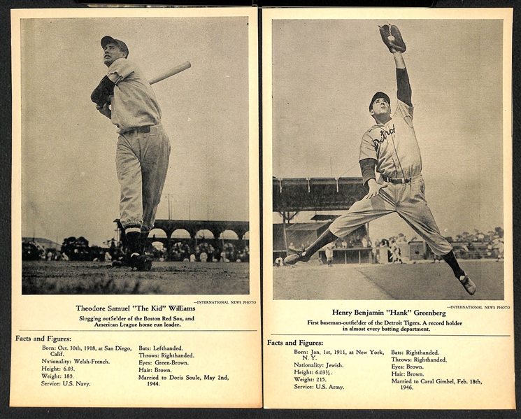 Lot of (22) 1946-49 W603 Sports Exchange Cards - Ted Williams, Greenberg, Musial, Doerr, Feller, Boudreau, +( All Trimmed at Borders to 6.5x9)  