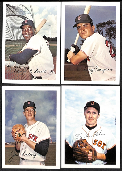 1967 Red Sox Stadium Team Set (16 Players Inc. Yaz)