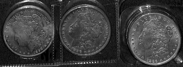 Lot of (10) Assorted Morgan Dollars w. 1881 S