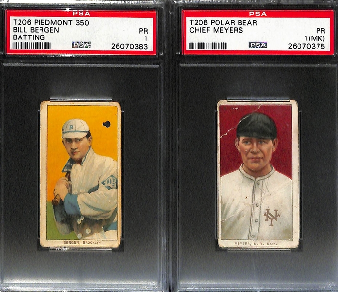 Lot of (12) 1909 T206 Polar Bear & Piedmont PSA Graded Baseball Cards w. Chief Myers