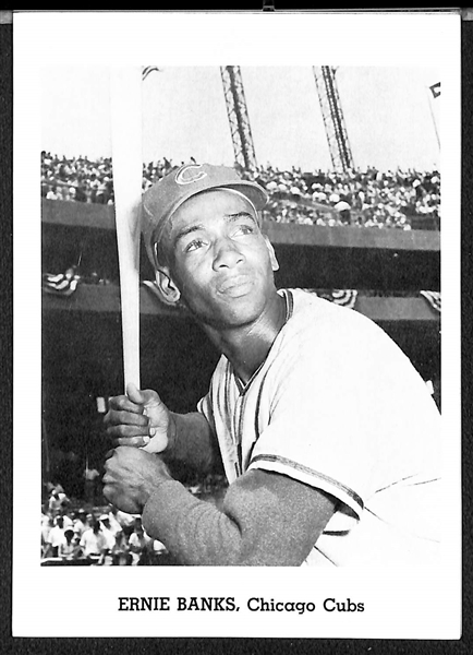 (33) 1958-61 Jay Publishing Photos w. Roberto Clemente (PSA 5) & 32 Ungraded w. Banks, Yaz, F. Robinson