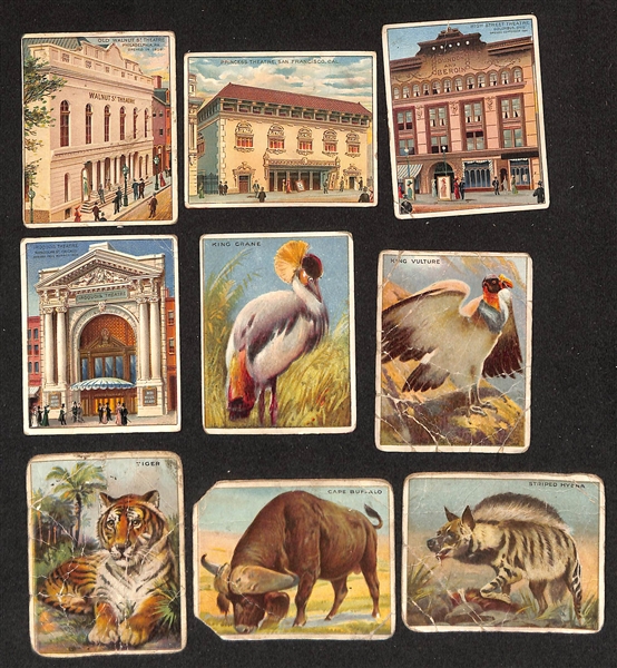 Lot of Approx (50) Assorted c. 1910s Misc Non-Sport Tobacco Cards Featuring Animals & Scenes of the World
