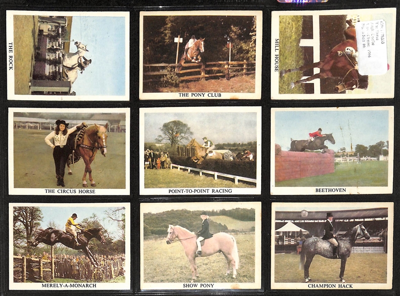 Lot of (5) 1924-1966 Cigarette & Gum Card Non-Sport Sets - Horses & Jockeys