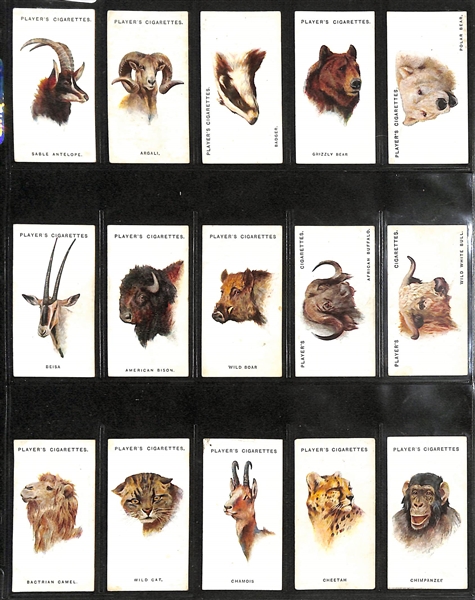 Lot of (6) 1909-1939 Cigarette Card Non-Sport Sets - Animals & Dogs