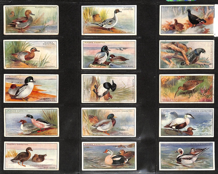 Lot of (7) 1926-1938 Cigarette Card Non-Sport Sets - Birds & Butterflies