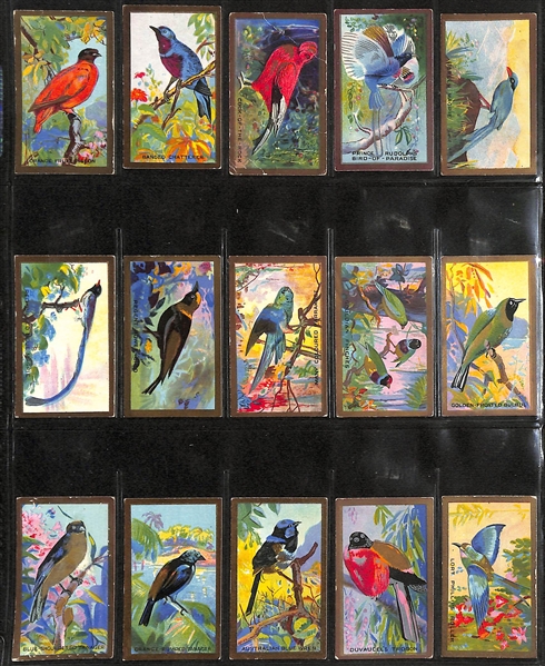 Lot of (7) 1926-1938 Cigarette Card Non-Sport Sets - Birds & Butterflies