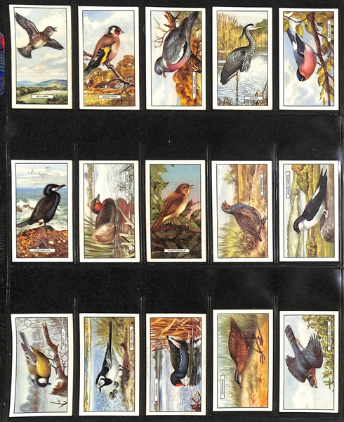 Lot of (7) 1926-1938 Cigarette Card Non-Sport Sets - Birds & Butterflies