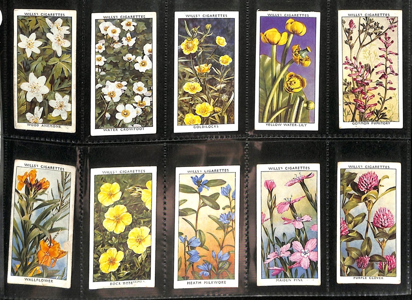 Lot of (6) 1912-1939 Cigarette Card Non-Sport Sets - Stamps, Flowers, & Roses