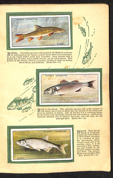 Lot of (8) 1905-1938 Cigarette Card Non-Sport Sets - Fish, Birds & Butterflies