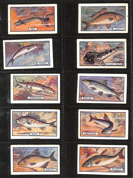 Lot of (8) 1905-1938 Cigarette Card Non-Sport Sets - Fish, Birds & Butterflies