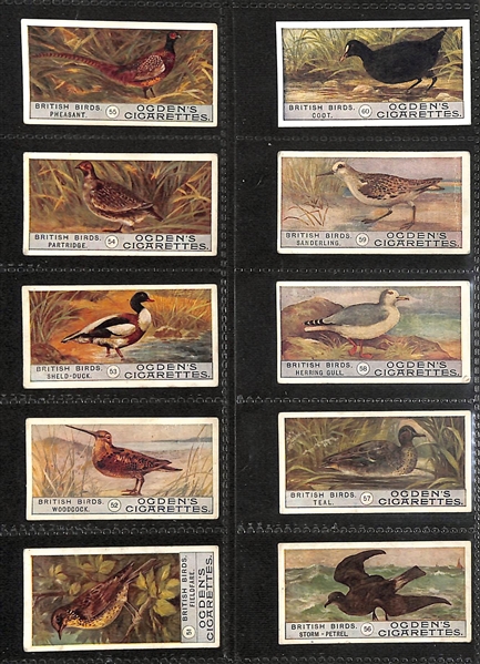 Lot of (8) 1905-1938 Cigarette Card Non-Sport Sets - Fish, Birds & Butterflies