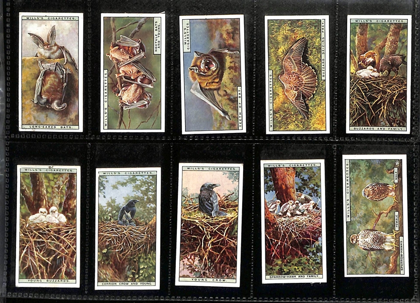 Lot of (8) 1905-1938 Cigarette Card Non-Sport Sets - Fish, Birds & Butterflies