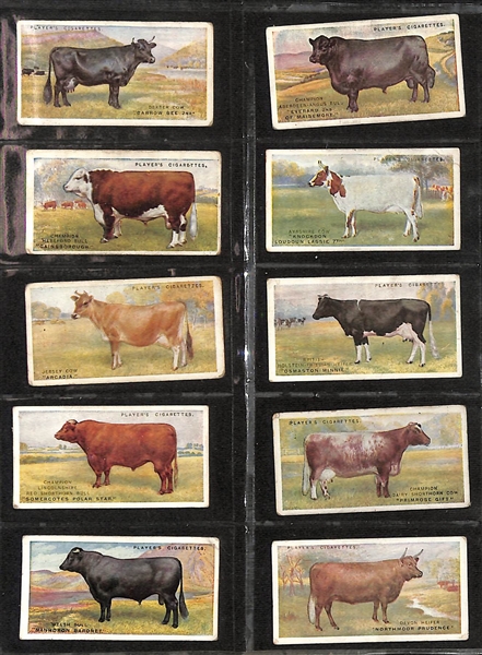 Lot of (6) 1907-1939 Cigarette Card Non-Sport Sets - Dogs, Horses, & Mammals