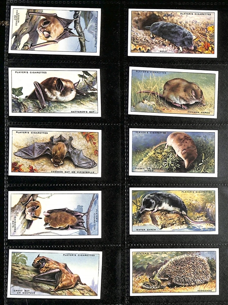 Lot of (6) 1907-1939 Cigarette Card Non-Sport Sets - Dogs, Horses, & Mammals