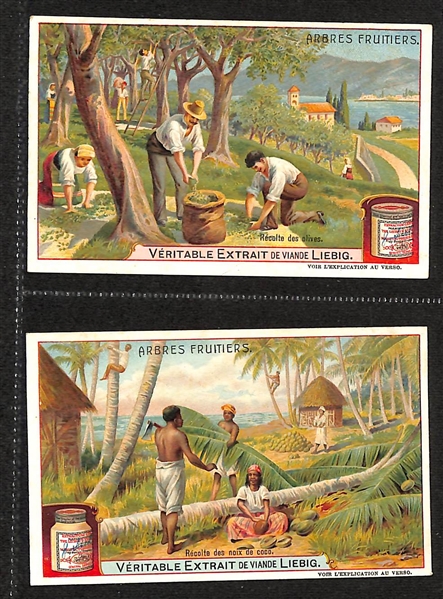Lot of (54) Early 1900s German Advertisement Cards w. Liebig Extract of Meat Products